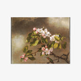 Hummingbird and Apple Blossoms by Martin Johnson Heade - thumbnail_0_nf_67312d1812f9211d49d3d74a